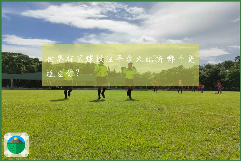 世界杯买球投注平台大比拼 哪个更适合你？