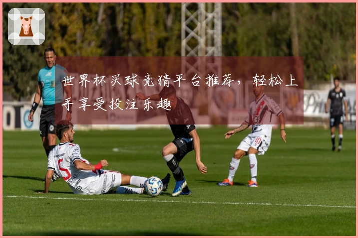世界杯买球竞猜平台推荐，轻松上手享受投注乐趣