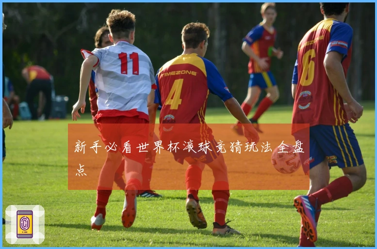 新手必看世界杯滚球竞猜玩法全盘点