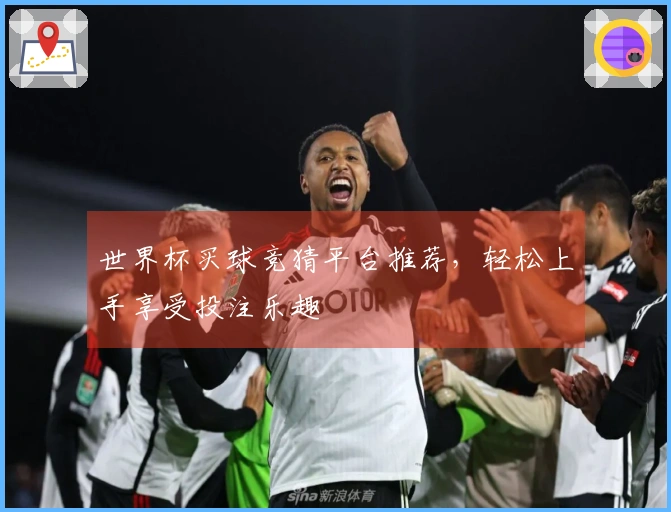 世界杯买球竞猜平台推荐，轻松上手享受投注乐趣
