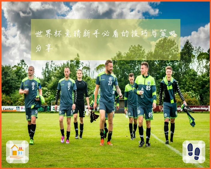 世界杯竞猜新手必看的技巧与策略分享