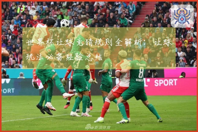 世界杯让球竞猜规则全解析：让球玩法必备经验总结