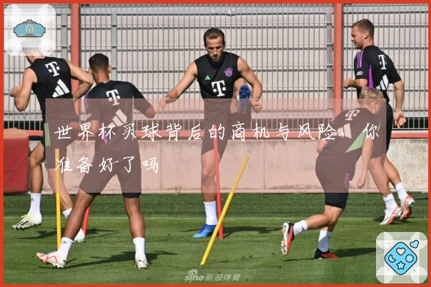 世界杯买球背后的商机与风险，你准备好了吗