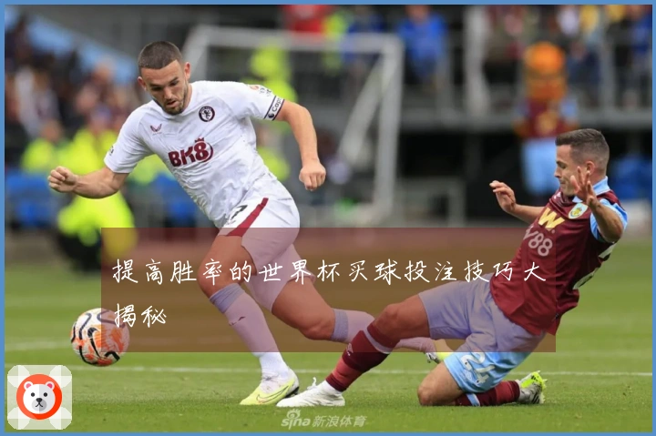 提高胜率的世界杯买球投注技巧大揭秘